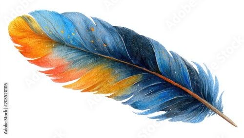 A single, long, delicate feather, brilliantly colored with blue and orange hues