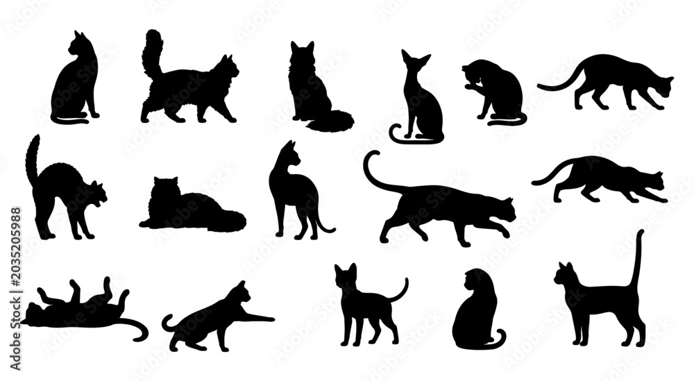 Obraz premium Vector illustration. Silhouettes of black cats. Set of animal stickers. Large set. 