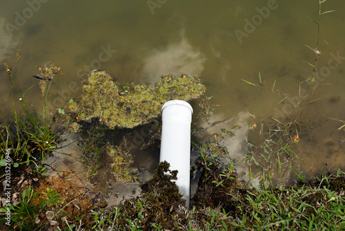 Bild auf Leinwand White plastic pipe draining toxic waste water into dirty pond with algae