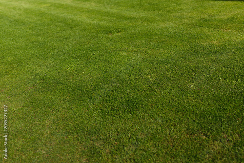 Cuadro en lienzo Full frame of perfect green grass on soccer football field
