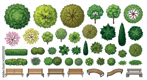 Photos Trees And Park Benches Top Down Vector Illustration On White Background