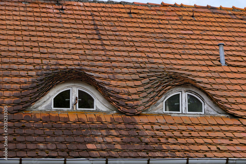 Tableau sur toile Weathered terracotta roof tiles with dormer windows under a winter sky