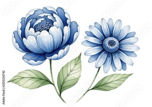 Blue peony and daisy flowers with green leaves