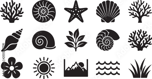 Collection of black and white natural elements icons with elements seashell ammonite starfish