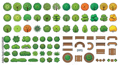Trees And Park Furniture Vector Illustration With Colorful Foliage