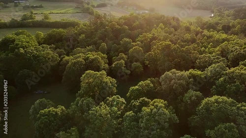 sunrise misty country