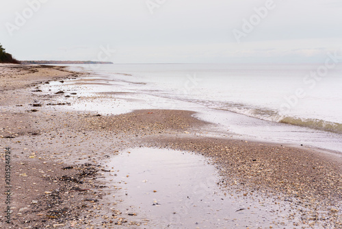 Gulf of Riga Seascape with Beach Grasses and Calm Water Horizon