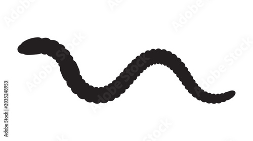 Foto Worm Shape In Black Silhouette annelid earthworm