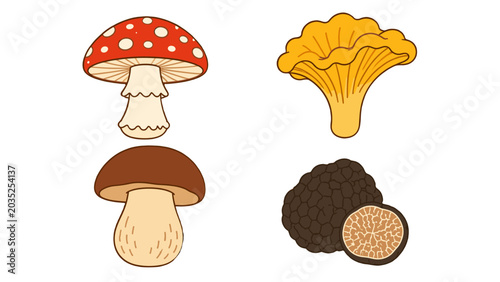 Bild auf Leinwand Cartoon mushroom set with amanita chanterelle cep and truffle
