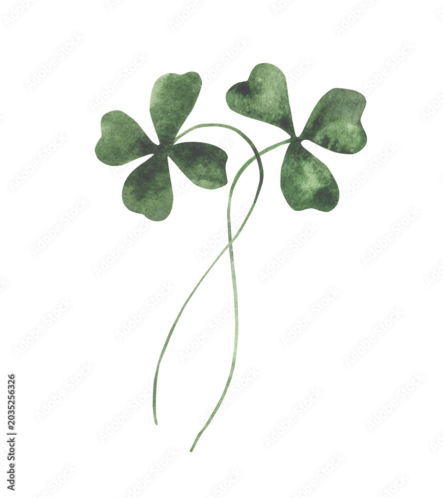 Obraz premium Watercolor shamrock illustration with delicate green clover leaves and stems, hand painted botanical element for Saint Patrick’s Day cards, invitations, stickers and festive decor