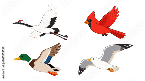 Canvas Print Cartoon flying birds set with crane cardinal duck and seagull
