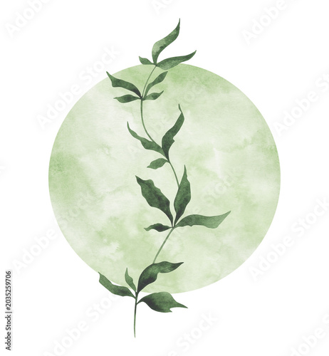 Minimal watercolor botanical illustration with green leafy branch over soft watercolor circle, elegant natural composition for branding, posters, invitations and modern decor