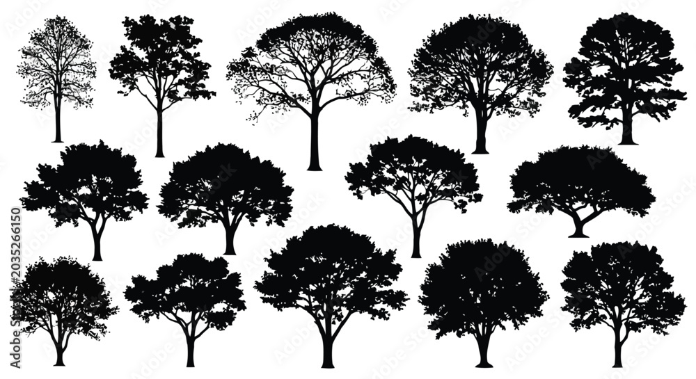 Fototapeta premium Tree silhouettes collection, various tree shapes and sizes on white background, black tree illustrations for design