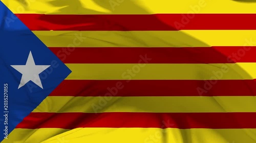 Estelada Blava Flag Waving in Slow Motion Loop Animation