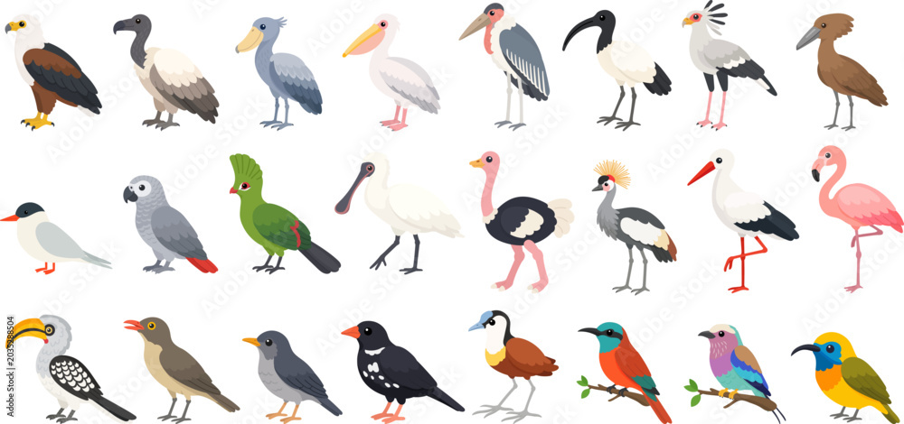 Obraz premium African bird collection featuring flamingos, parrots, cranes, ibises and raptors, African bird wildlife vector set for nature themes.