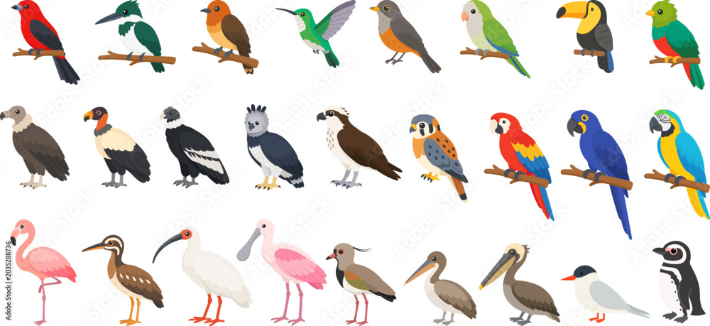 Obraz premium South American bird collection featuring tropical parrots, toucans, flamingos and raptors, South American bird colorful wildlife vector set for nature themes.