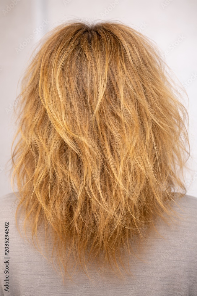 Naklejka premium Frizzy Blonde Hair Closeup With Dry Damaged Texture And Split Ends