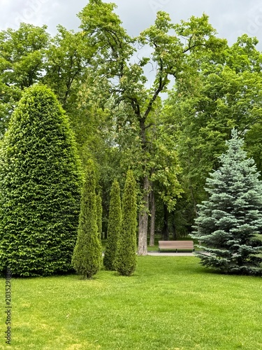 path in the park