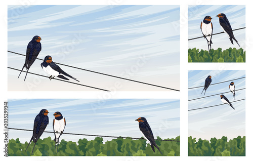 Barn swallow birds sitting on power lines vector illustration set. Hirundo rustica on wire over green forest landscape banner templates. Spring and summer wildlife digital design backgrounds
