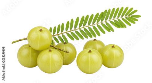 Fresh amla fruits or indian gooseberries with green pinnate leaves isolated on a solid black background