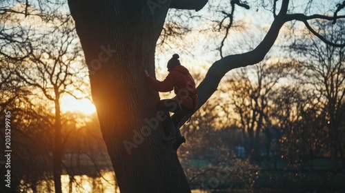 Person climbs a large tree in a park at sunset.
