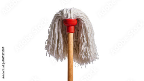 Vászonkép Isolated household cleaning tool, a classic string mop with a red plastic and wo