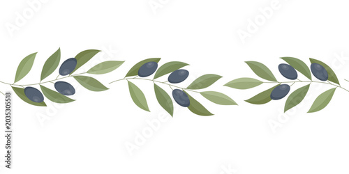 Seamless border with olive branches on a white background. Greek symbol of longevity and prosperity. Vector illustration for recipe decoration, print.