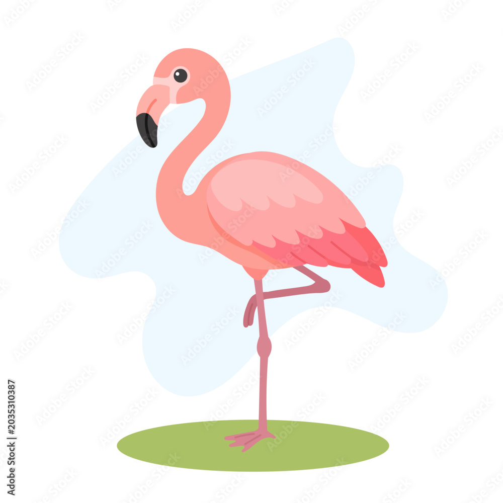 Obraz premium Greater flamingo standing gracefully, Greater flamingo showing soft pink plumage, Phoenicopterus roseus vector bird illustration.
