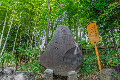 Cuadro en lienzo Historical Rasha Shumin haiku monument with bamboo forest background at Mukojima