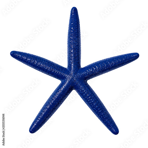 blue sea star, starfish, linckia laevigata isolated on transparent background