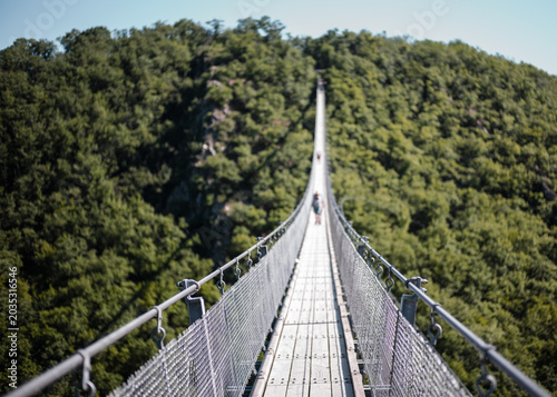 Geierlay suspension bridge, Moersdorf, Rhineland-Palatinate, Germany, Europe.