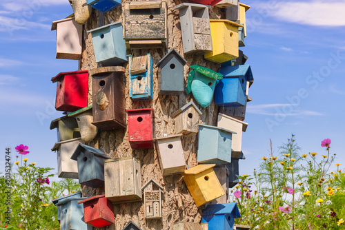 Fotografie Tree with colorful different bird houses in front of blooming wild flowers and b