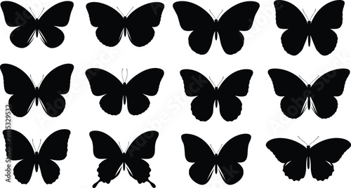 Large collection of butterfly silhouettes in various wing shapes and sizes isolated on white background for nature decoration and spring graphic design