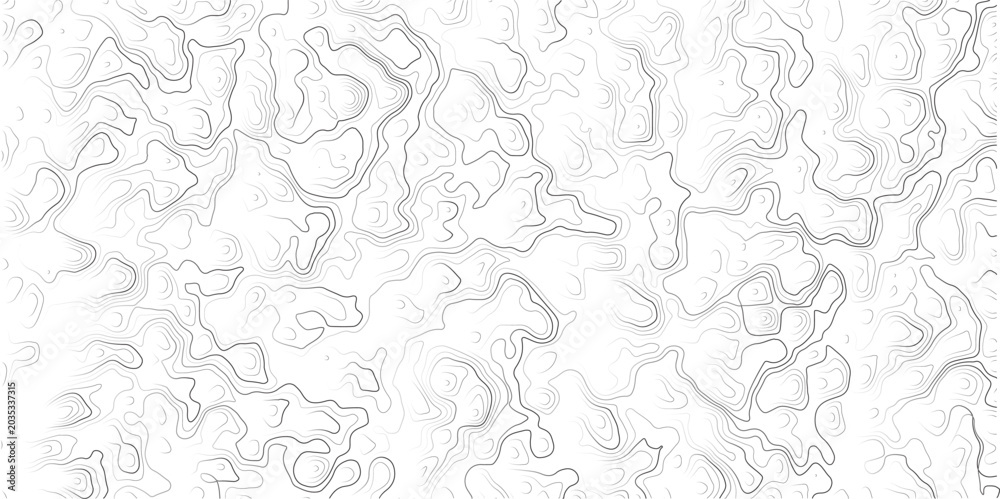 Obraz premium Gray wavy lines on white background abstract pattern design element