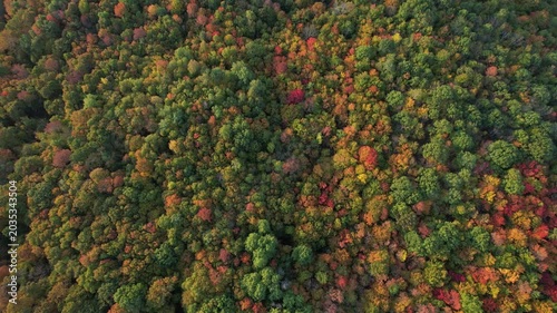 4k aerial over Vermont forrest in the fall