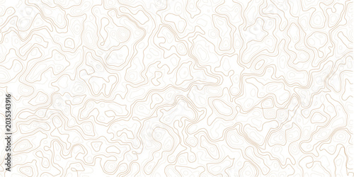 Canvastavla Topographic map contour lines on white background for design and illustration pu