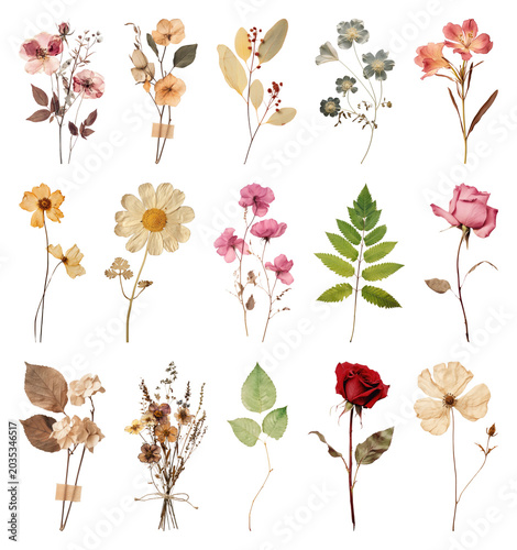 PNG Vintage dried floral arrangement collection, transparent background