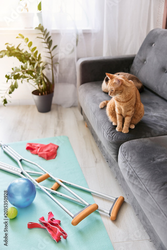 Domestic interior with sofa and cat and recovery tools