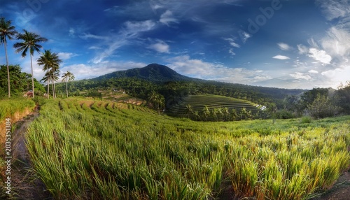 The Natural Scenery The Palm And The Sky Are Very Interesting Or Pemandangan Alam Petak Sawah Di Wilayah Nanggulan Kulonprogo
