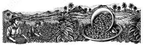 Cup with coffee beans beside woman in hat gathering beans in a plantation. Suitable for coffee labels, and branding, roasting and trade company, packaging design. sketch style vector on white