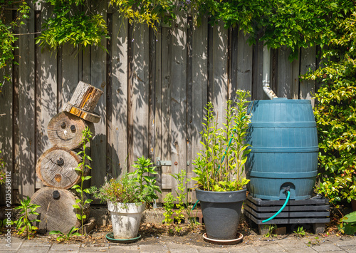 Rain barrel in spring garden, rainwater harvesting and reusage concept