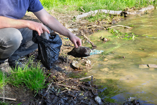 Man cleaning beach from plastic garbage, volunteer collecting waste on river bank