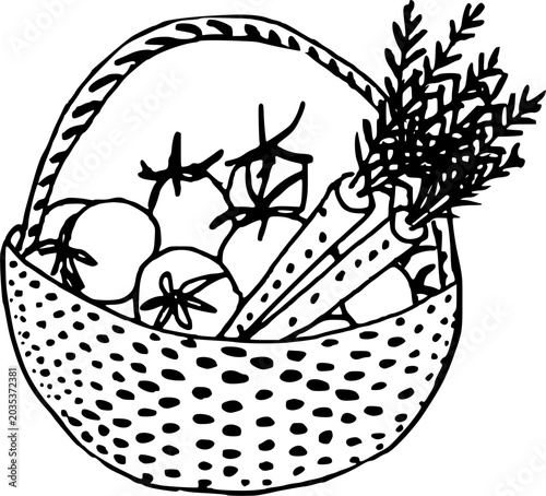 Obraz na płótnie Wicker basket full of fresh root vegetables harvest garden eco food