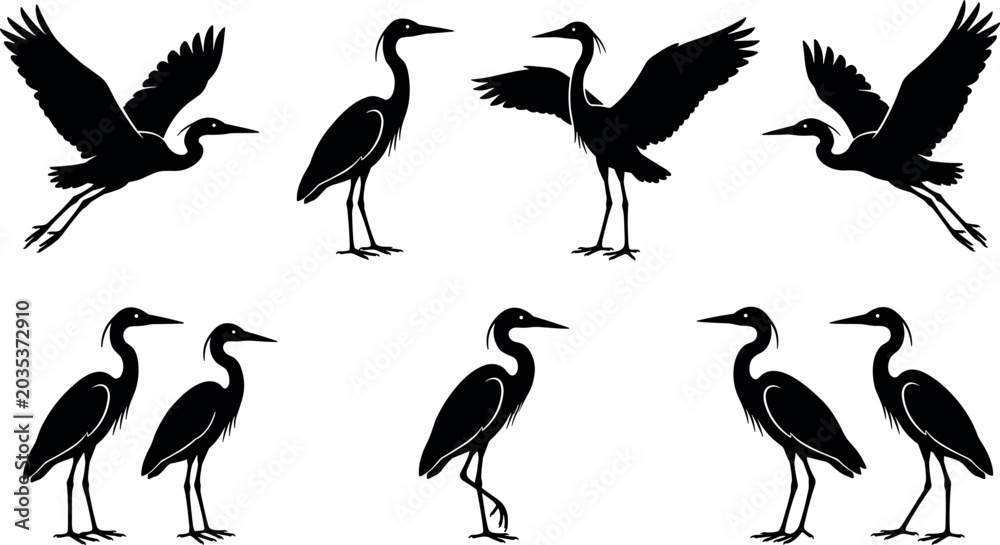 Obraz premium Heron and Egret Black Silhouette Collection with Flying and Standing Waterfowl Stork Bird Vectors for Nature and Wildlife Conservation Graphic DesignsHeron and Egret Black Silhouette Collection with F