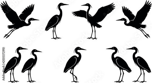 Foto Heron and Egret Black Silhouette Collection with Flying and Standing Waterfowl S