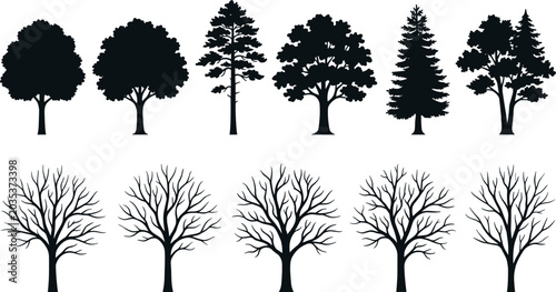 Deciduous and Conifer Tree Silhouettes Set with Bare Winter Branches and Full Summer Foliage Vectors for Seasonal Nature Landscape Graphic DesignsDeciduous and Conifer Tree Silhouettes Set with Bare W