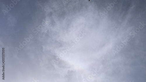 Cloudy sky palm
