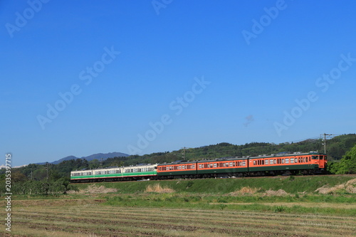 Foto 残雪が残る春のアルプス山脈を背景に北しなの線を走る115系電車(復刻色)_2026/5/7撮影