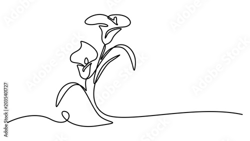 Foto Continuous line drawing of two calla lily flowers