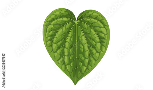 Foto Fresh Green Betel Leaf Flat Vector Illustration of Piper Betle Plant